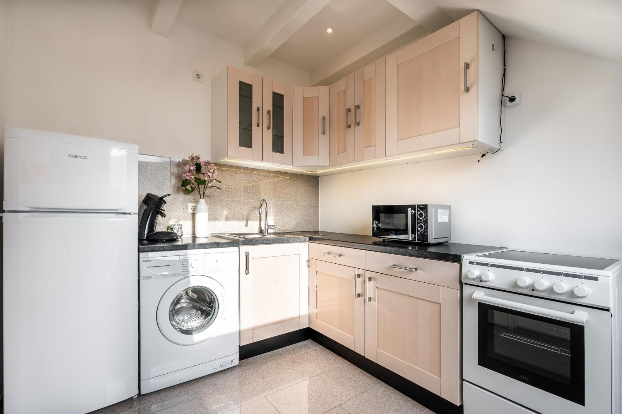 Wohnen Auf Zeit - Innenstadt-Appartements Freiburg im Breisgau Oda fotoğraf